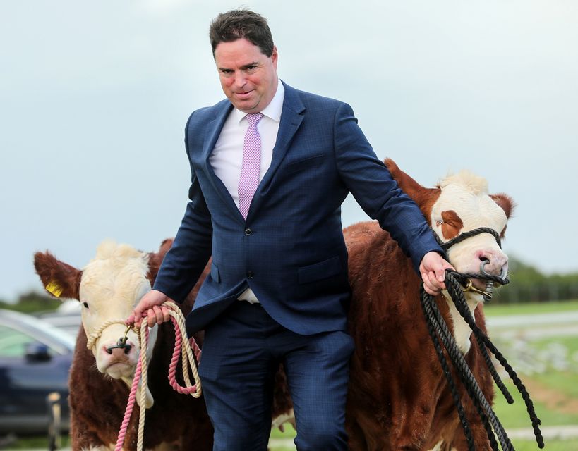 'Ministerial Struggle': Agriculture Minister Martin Heydon with Tiger Lilly and Tempting Tessa at the launch of the 2025 National Ploughing Championships. Photo: Gerry Mooney